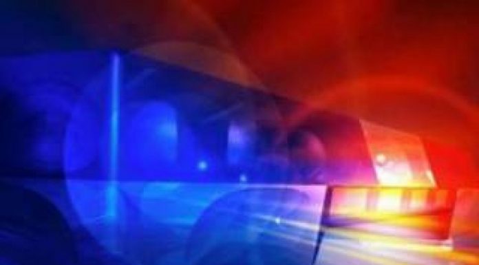 Porte de Arma de fogo e Embriaguez ao Volante Em Clevelândia-PR