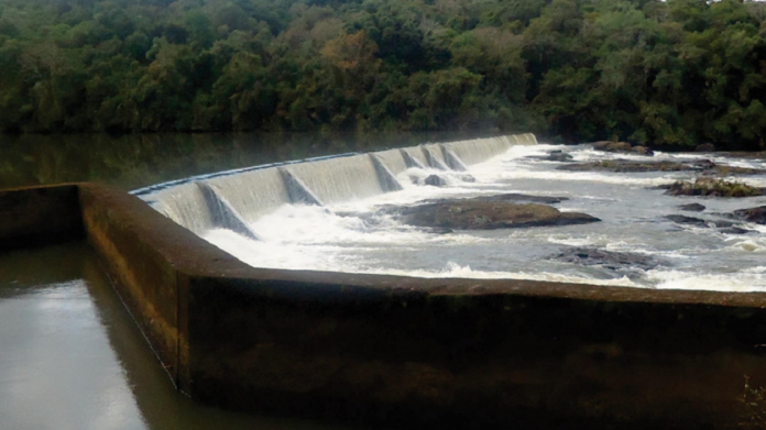 pinho_fleck-1140x640