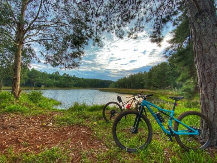 pedal-do-costelao-rota-das-araucarias-clevelandia-6-768x576