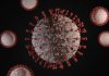 Clevelândia registra o primeiro caso do vírus H3N2.