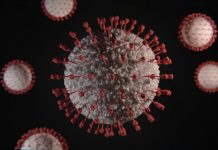 Clevelândia registra o primeiro caso do vírus H3N2.