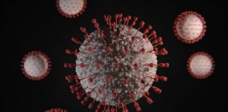 Clevelândia registra o primeiro caso do vírus H3N2.