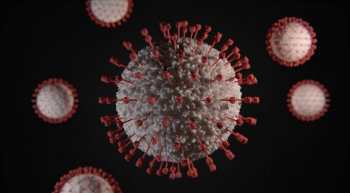 Clevelândia registra o primeiro caso do vírus H3N2.